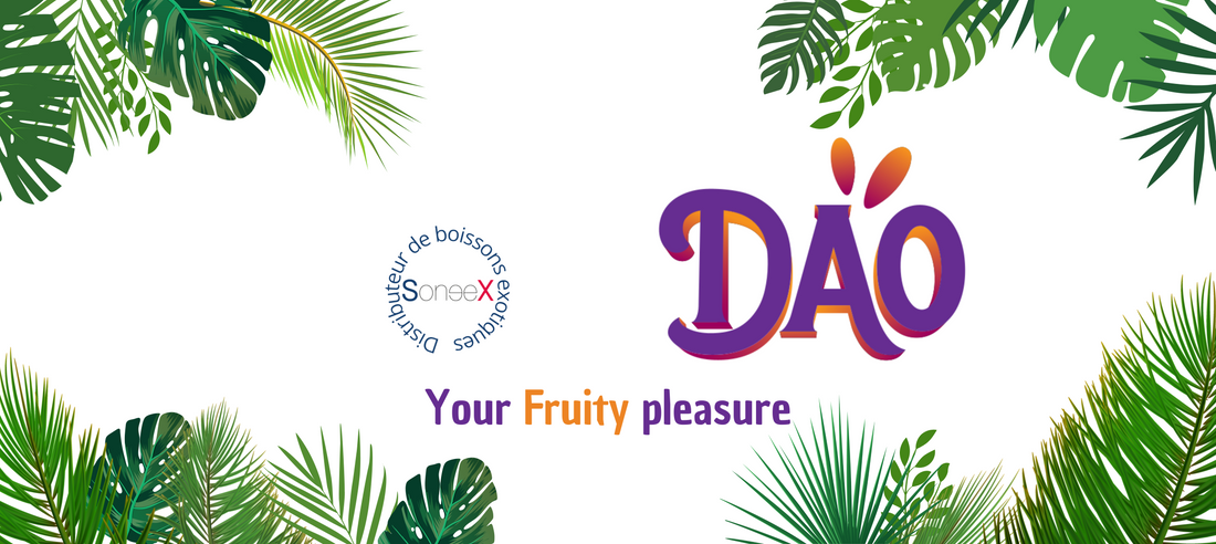 Dao : la boisson fruitée aux graines de basilic