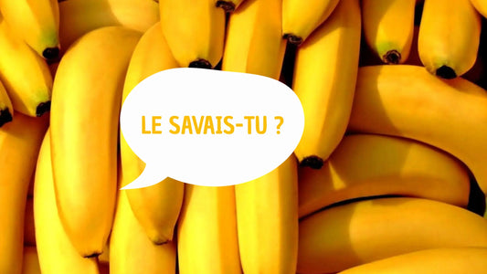 Le savais-tu ? - Édition Banane