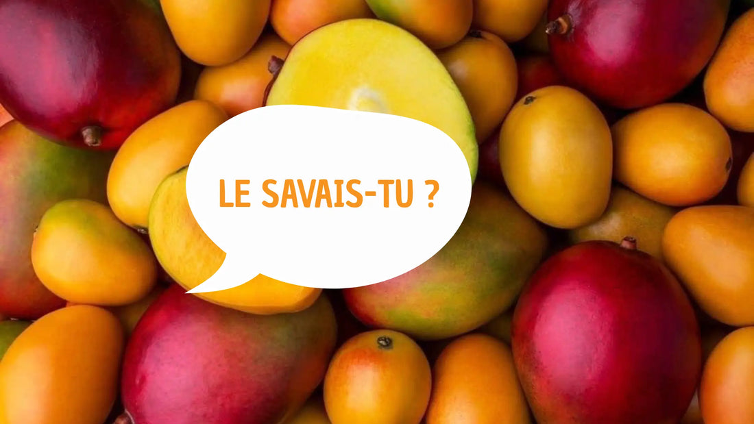 Mangues. Bulle avec une inscription "Le savais-tu ?"