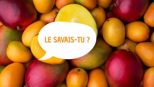 Mangues. Bulle avec une inscription "Le savais-tu ?"