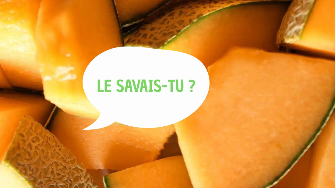 tranches de melon. bulle avec inscription "le savais-tu ?"